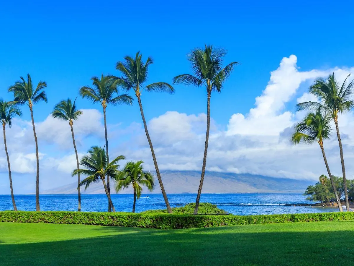 维雷亚Maui Banyan T-305A公寓 美国