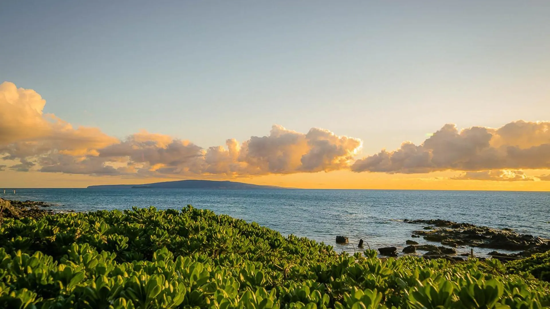维雷亚Maui Banyan T-305A公寓 维雷亚