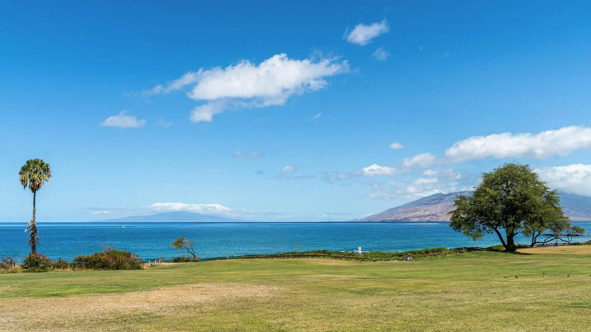 维雷亚Maui Banyan T-305A公寓 公寓