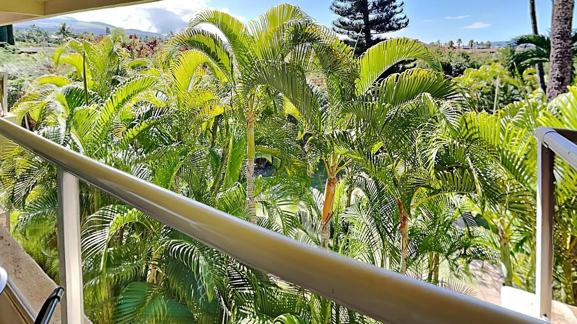 维雷亚Maui Banyan T-305A公寓 美国